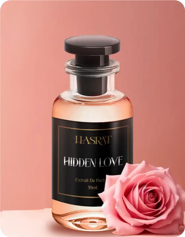 Hidden Love